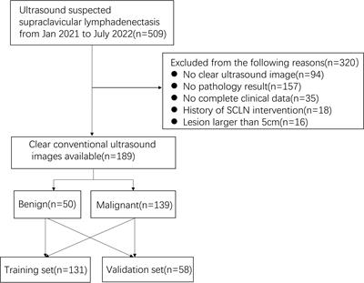 Frontiers Clinical Features Combined With Ultrasound Based Radiomics